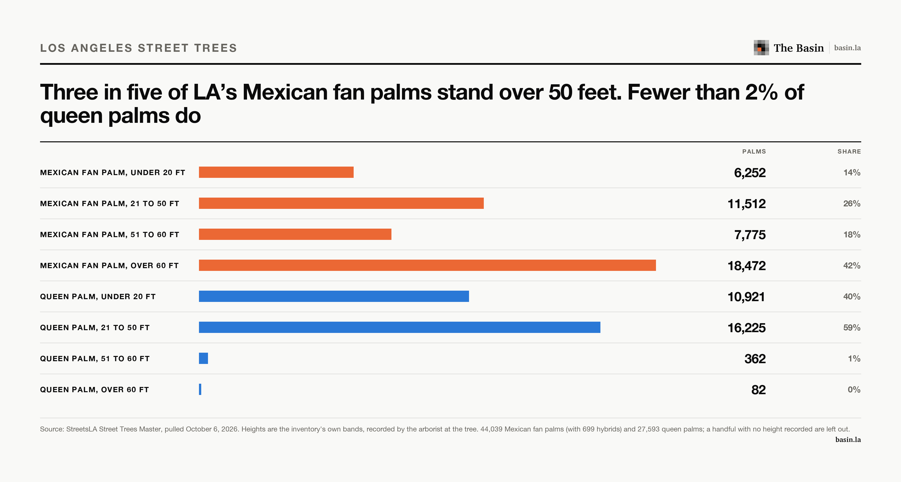 Bars of Mexican fan palms and queen palms by height band. 18,472 fan palms and 82 queen palms are over 60 feet.