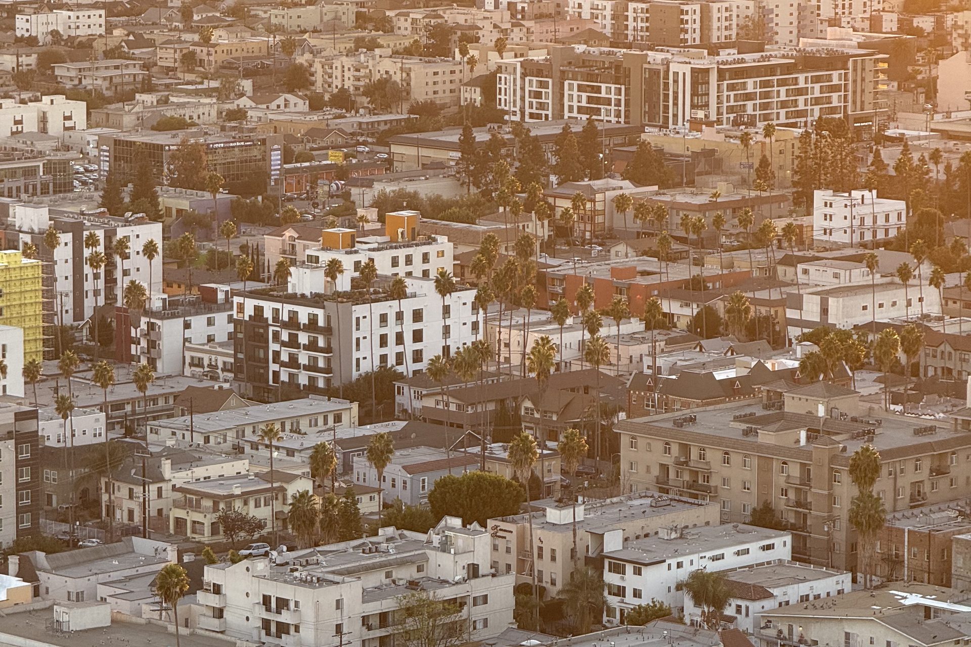 Apartment blocks, bungalows and palms packed block after block in central Los Angeles, seen from the air at sunset