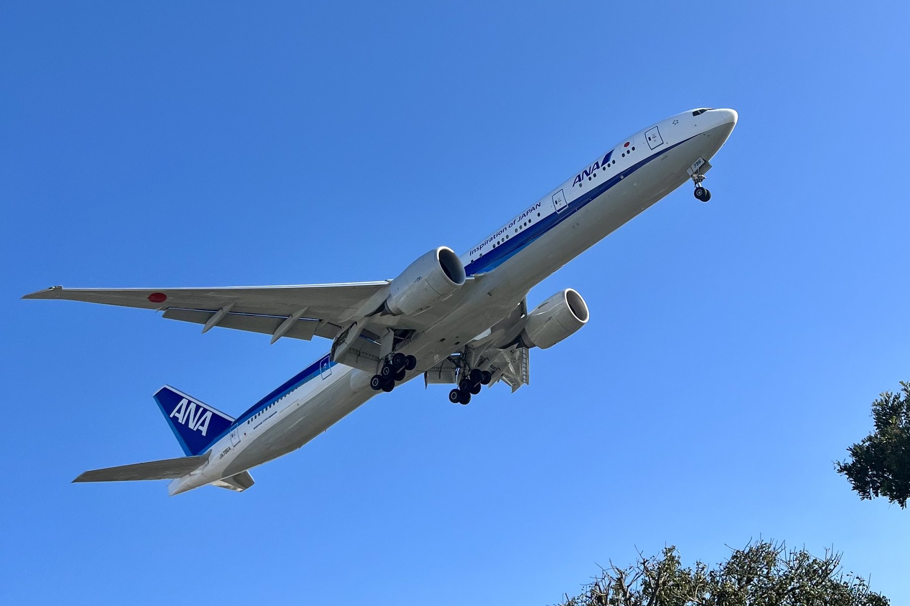 An All Nippon Airways Boeing 777 low over trees beside Los Angeles International Airport with its landing gear extended