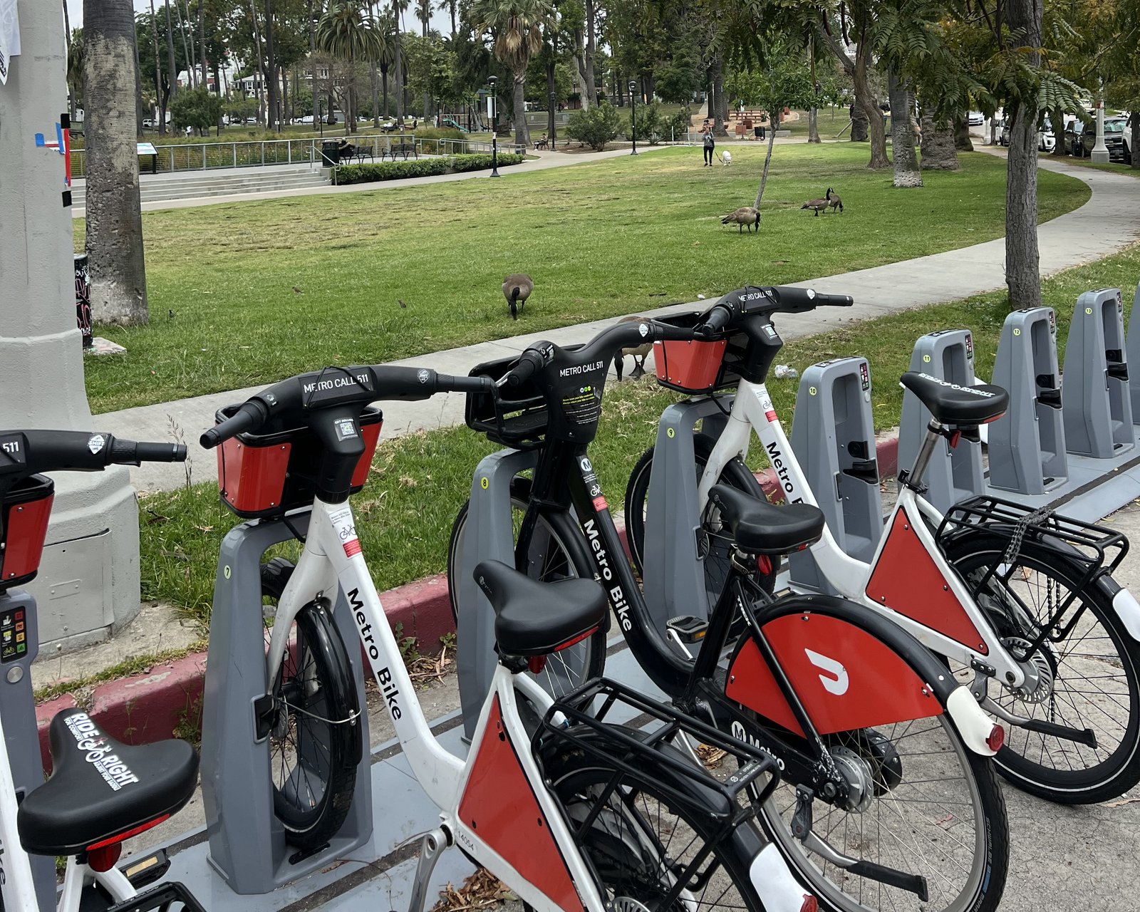 A full Metro Bike Share dock beside Echo Park Lake, every bike in its slot