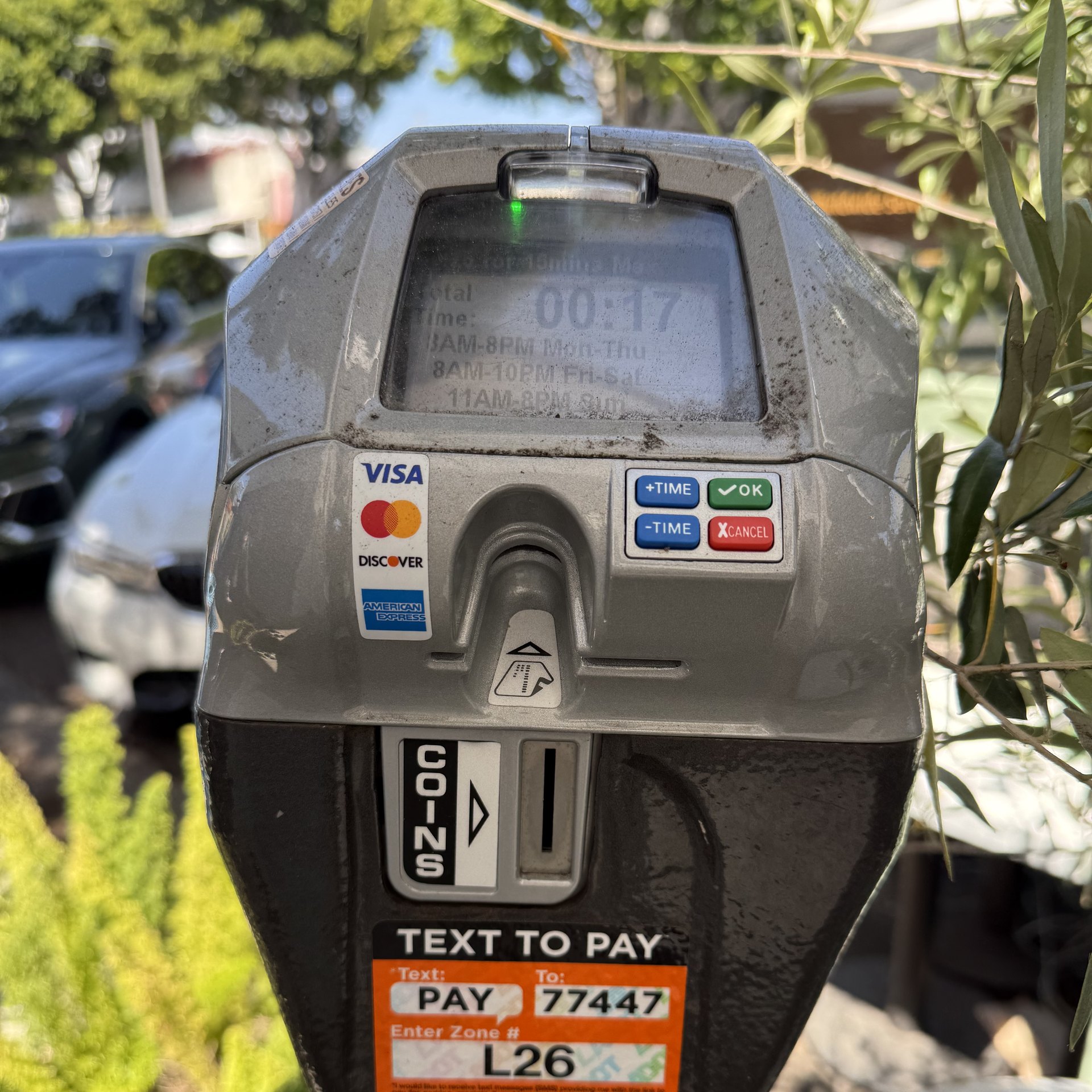 A LADOT parking meter on a Larchmont Village sidewalk, its display showing seventeen minutes remaining